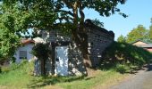 Tour Zu Fuß Weilrod - Helgenberg- Forst Laubach - Photo 5