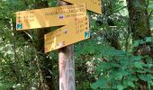 Trail Walking Doucier - Balisage Lac de Chambly - Photo 6