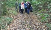 Excursión Senderismo La Celle-les-Bordes - La Celle les Bordes - Photo 7