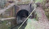 Randonnée Marche Champagney - Champagney - canal de la Haute-Saône - tunnel - Photo 4