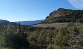 Tocht Stappen La Roche-sur-le-Buis - la montagne de Banne  - Photo 17