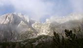 Trail On foot Tarvisio - IT-518 - Photo 6