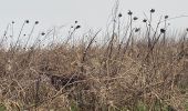 Randonnée Marche Gerpinnes - Gougnies par les carrières  - Photo 7