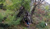 Percorso Marcia Les Mayons - Sur les hauteurs des Mayons - Photo 11