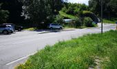 Tocht Noords wandelen Arbaz - 24.06.20 Bisse de Grimisuat  - Photo 1