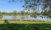 Randonnée Marche Mézières-en-Brenne - Mézières - Domaine de Bellebouche - Photo 4