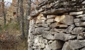 Randonnée Marche Mane - Les Cabanons de Forcalquier - Photo 2