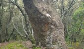 Trail Walking Lasalle - lassale Sainte Croix de Caderle - Photo 1