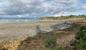 Randonnée Marche Sarzeau - Pointe de l’ours - Photo 9