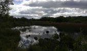 Trail Walking Conamara Municipal District - Ballykine loop  - Photo 4