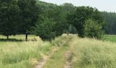 Tocht Stappen Belœil - Les amis de la nature d’Ath - Photo 9