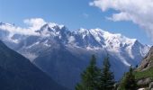 Randonnée Marche Vallorcine - MASSIF DES AIGUILLES ROUGES: LE LAC BLANC DEPUIS LE COL DES MONTETS - Photo 6