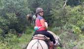 Trail Horseback riding Valle de Hecho - Siresa - Anso  - Photo 11