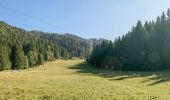 Percorso A piedi Brașov - Poiana Brașov - Peștera de Lapte - Photo 3