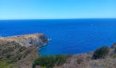 Tocht Stappen Cerbère - cerbère. cap cerbère. coll dels belitras . puig dels frères. cerbère - Photo 12