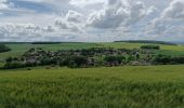 Tour Wandern Bucey-en-Othe - rando Bucey 16 mai 2024 - Photo 5