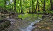 Randonnée A pied Kirchberg an der Murr - Naturlehrpfad - Photo 5