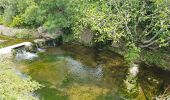 Excursión Marcha nórdica Saint-Jean-de-la-Blaquière - St Jean de la Blaquière Bois de Latude - Photo 14