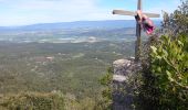 Randonnée Marche Peyrolles-en-Provence - la trempasse - Photo 1