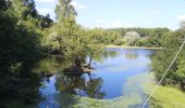 Excursión Bicicleta híbrida Chalonnes-sur-Loire - Boucle Chalonnes Château de Serrant - Photo 1