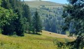 Tour Wandern Stoßweier - Le col de la Schlucht lac de la Lande - Photo 2