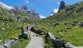 Tour Wandern Pralognan-la-Vanoise - Pralognan, Lac des Vaches par le téléphérique  - Photo 11