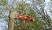 Trail Walking Houppeville - 20220412-La Breteque - Photo 20
