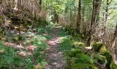 Tour Wandern Villard-Saint-Sauveur - cascade de flumen - saut du chien - retour en partie par la route  - Photo 2