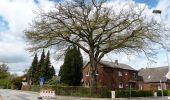 Tour Zu Fuß Nahe - Von Nahe zum Nienwohlder Moor - Photo 4