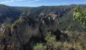 Excursión Senderismo Saint-Pierre-des-Tripiers - Les corniches du Méjean (Jonte) et du Tarn au départ de Cassagnes - Photo 3