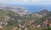 Tour Wandern Ribeira Brava - Levada Boa Morte - Photo 1