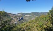 Tocht Stappen Millau - potensac in live - Photo 1