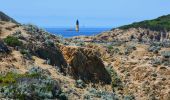 Tocht Stappen Hyères - Ile de Porquerolles - Photo 10