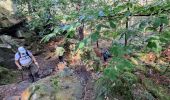 Tocht Stappen Fontainebleau - T1-Grotte Beatrix  - Photo 1