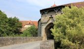 Randonnée A pied Rothenburg ob der Tauber - Rothenburger W4 - Natursteig - Photo 6