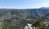 Tour Wandern Saint-Maurice-Navacelles - cirque de nacelles moulin de la Foux - Photo 5