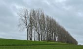 Randonnée Marche Genappe - #230109 - Loupoigne, réserve naturelle de la sucrerie - Photo 3