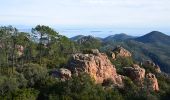 Tour Wandern Saint-Raphaël - Pk Col de Belle Barbe - Col des Suvières - Suvières - Col des 3 Termes - Photo 8