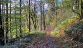Trail Walking Clervaux - Clervaux Abbaye et Mecher 10 km boucle - Photo 10