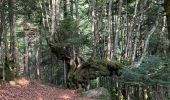 Tour Wandern Le Falgoux - Cascade du Biagun - Photo 5