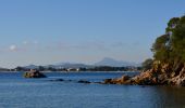 Randonnée Marche Bormes-les-Mimosas - Barrage du Trapan - Pellegrin - Photo 19