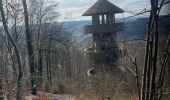 Tour Wandern Stablo - Stavelot- Chemin des source  14 Km - Photo 9