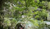 Trail Walking Aiguines - La Maline-Imbut-Vidal - Photo 10