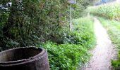 Trail On foot Haaksbergen - Wandelnetwerk Twente - groene route - Photo 1