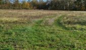 Tocht Stappen Lunay - Château de la Mézière - Asnières  - Photo 15