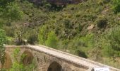 Excursión Senderismo Alquézar - ALQUEZAR boucle par passerelles et abrigo de regacens - Photo 9