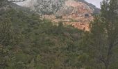 Trail Walking Brignoles - l'Amarron - Photo 2