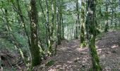 Tocht Stappen Kiischpelt - Eislek trail et 01 Kautenbach-Clervaux 25km - Photo 6