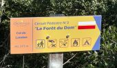Trail Walking Bormes-les-Mimosas - 83 - la môle - Photo 1