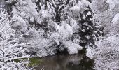 Tour Wandern Büllingen - La vallée perdue - Rocherath  - Photo 5